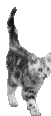 th_f79d7bcd.gif
