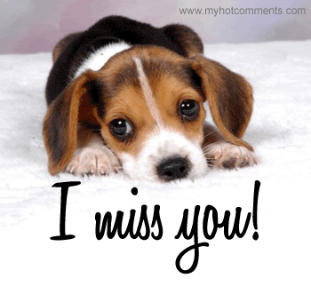 Miss you photo: Miss You 32535a2448096bbd002d2ee9c6884889.gif