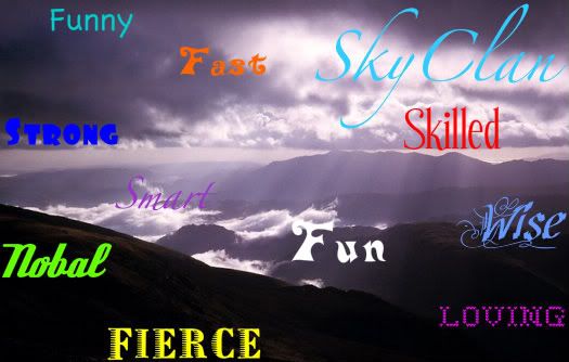 SkyClan Pictures, Images and Photos
