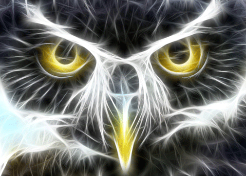 owl wallpaper. fractal-animal-wallpaper-owl.