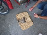 http://i593.photobucket.com/albums/tt15/ptzebetzis/09%20Jun%202012%20Volta%20Stornello/IMGP0085.jpg