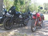 http://i593.photobucket.com/albums/tt15/ptzebetzis/09%20Jun%202012%20Volta%20Stornello/IMGP0099.jpg