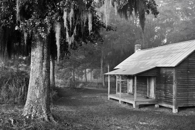 Beate Sass - Tall Timbers Plantation Project