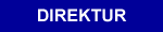 Direktur Direktur