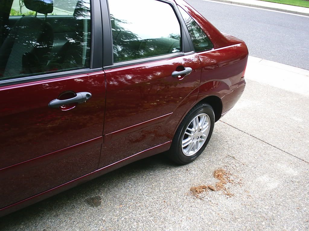 S3010048.jpg