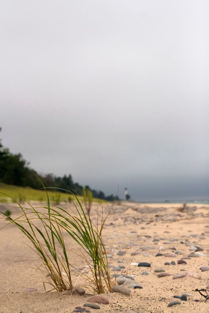 IMAGE: http://i593.photobucket.com/albums/tt18/cplpunishment/lighthousegrass.jpg