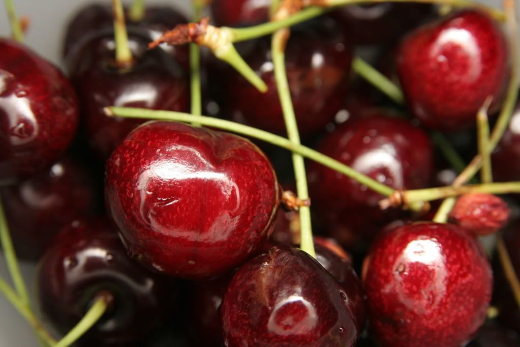 IMAGE: http://i593.photobucket.com/albums/tt18/cplpunishment/tests/IMG_5238.jpg