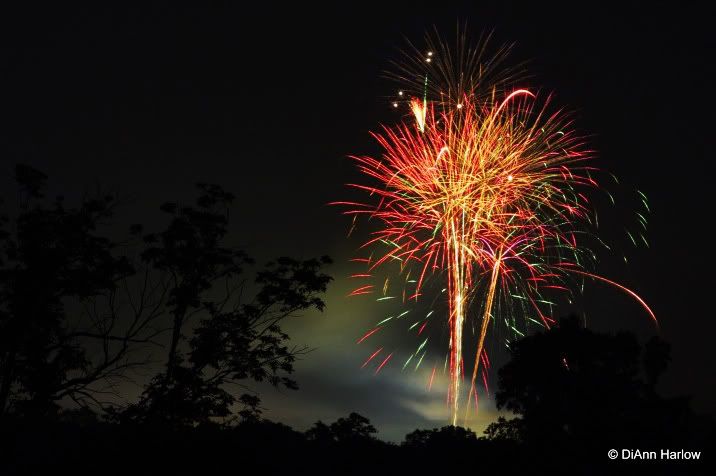 IMAGE: http://i593.photobucket.com/albums/tt18/cplpunishment/tests/otherfire.jpg