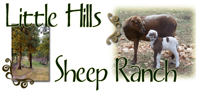 Little Hills Sheep Ranch