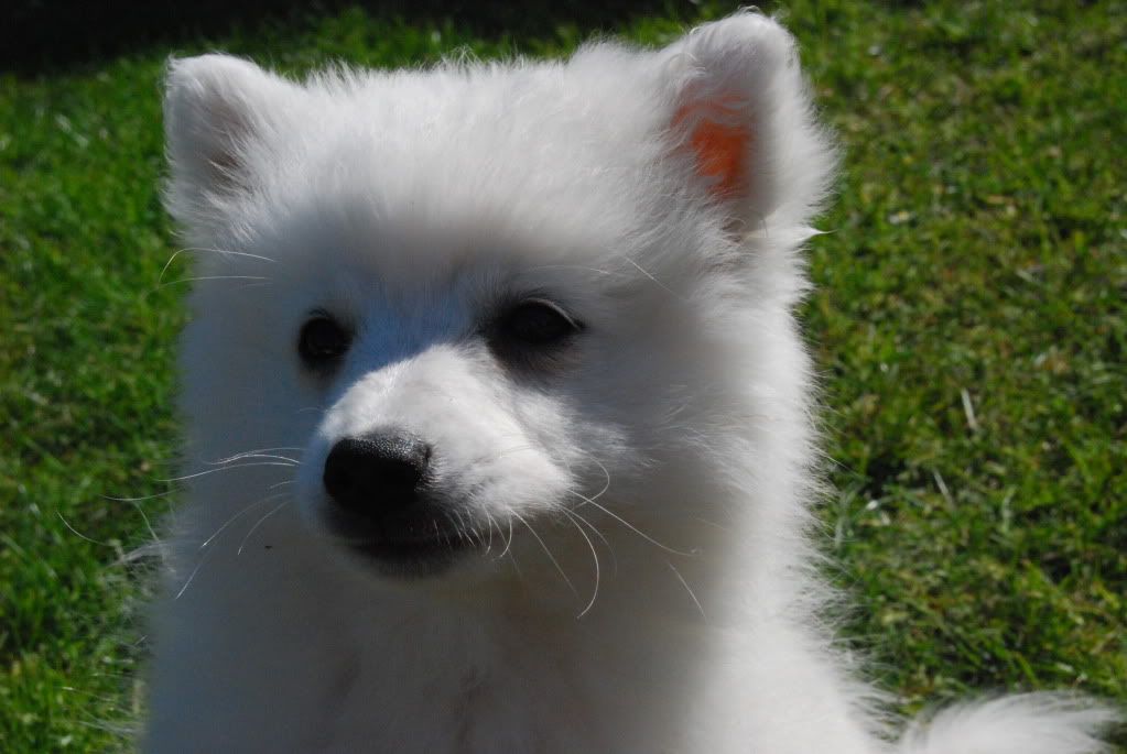 DSC_0134.jpg