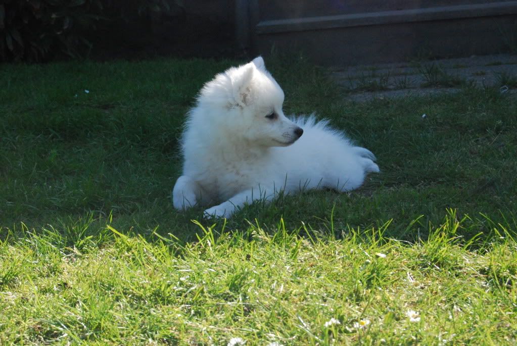 DSC_0142.jpg