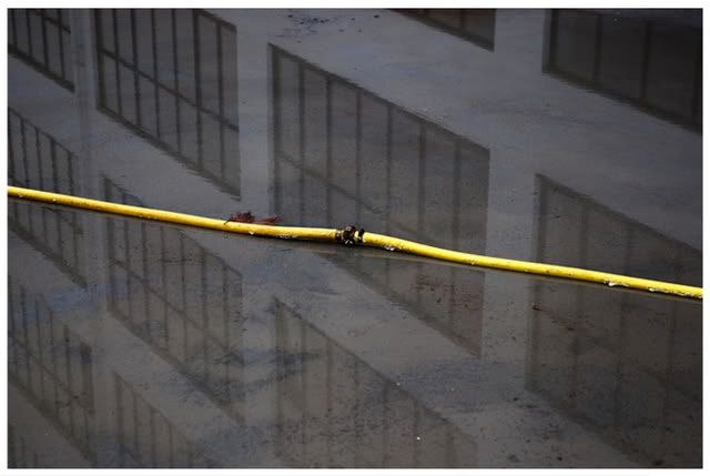 Fotografie