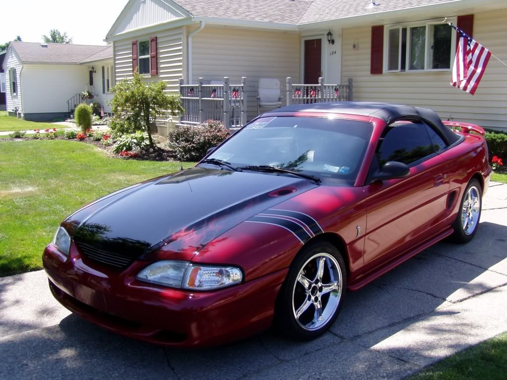 http://i593.photobucket.com/albums/tt20/Sopia06/94MustangGT1.jpg