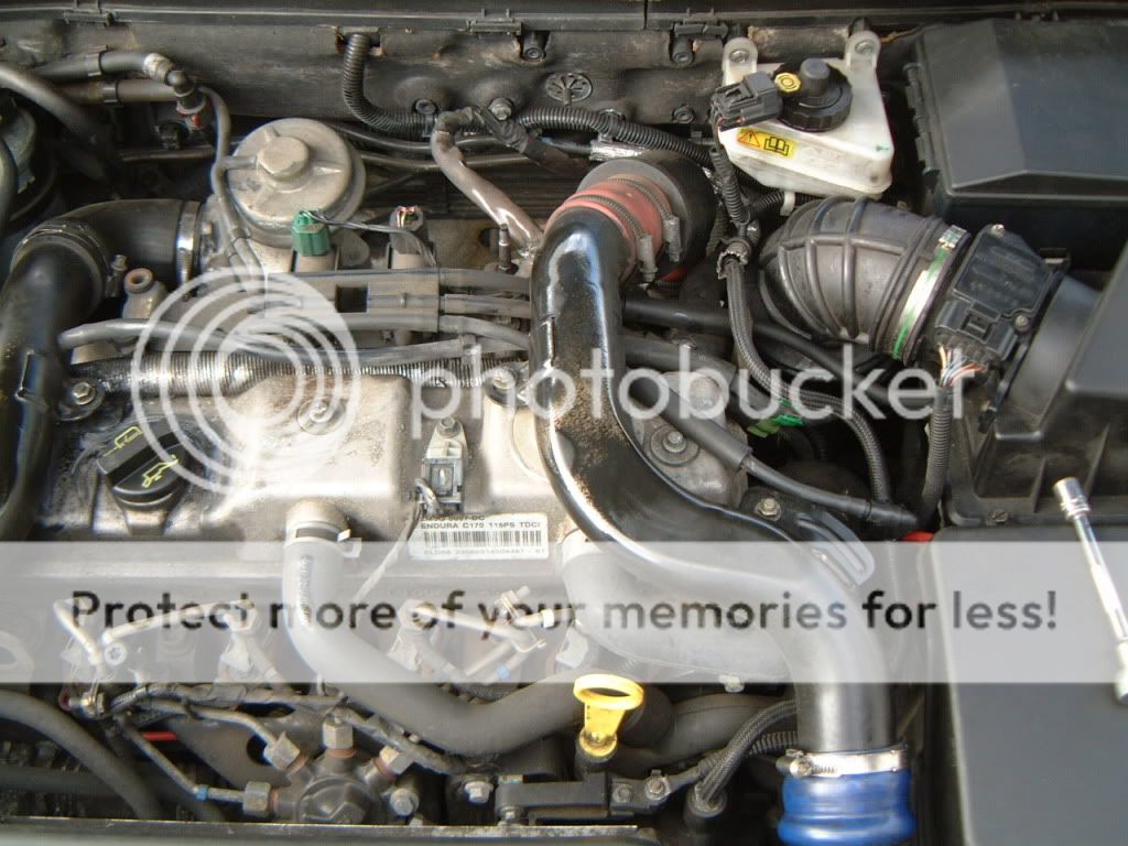 Ford focus 1.8 tddi fuel pump problems #2