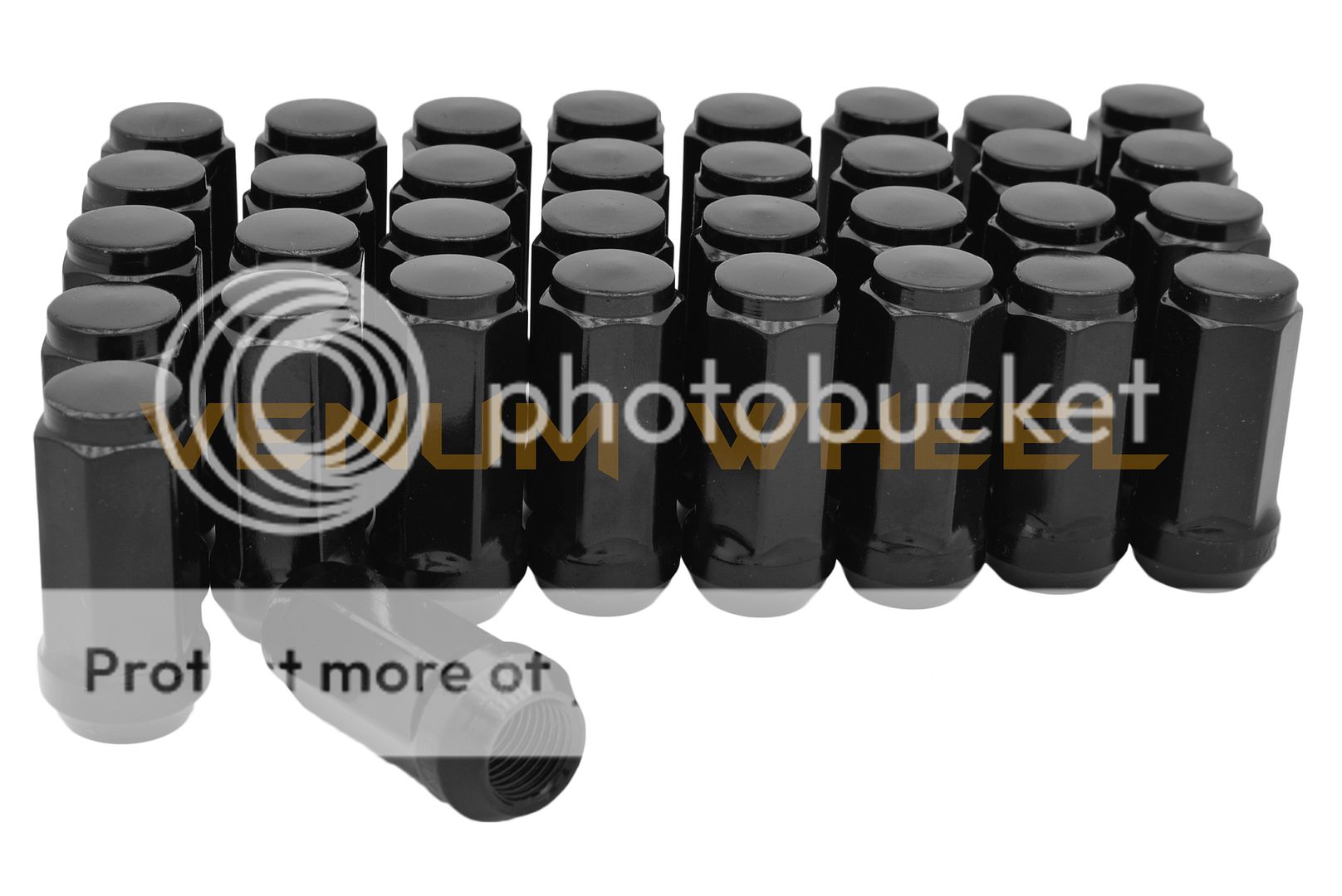  photo DSC_0611_zpsbhgzb1xs.jpg