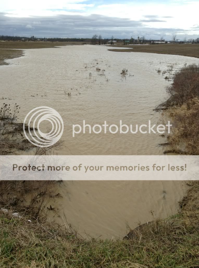 Upstream West Lincoln closer shot photo 47A6A1F2-141F-4A79-B46B-E88540BD976E-1747-00000060C6DBF0FA.jpg
