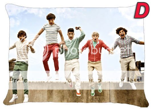 New   1D   ONE DIRECTION   Up All Night   Collage Photo Pillow Case (9 